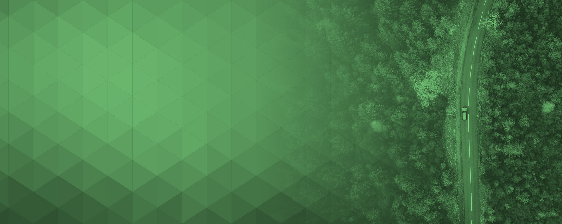 Sustainability in the Automotive Industry: Navigating the Green Road