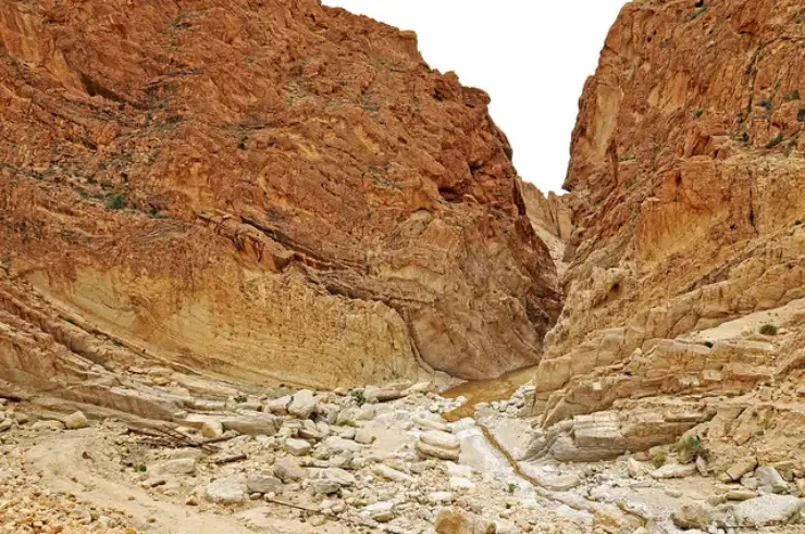 How to Recycle Phosphorus, the Most Least-Known Scarce Resource