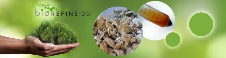 Smart Microorganisms at Work: Turning Waste into Bioplastic