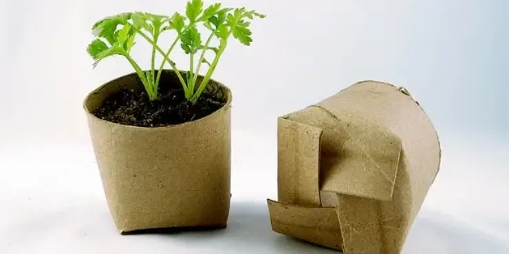 What is an Environmental Product Declaration? And What is it Good For?