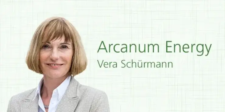 Chancen & Herausforderungen in Energieeffizienz-Netzwerken: Experteninterview