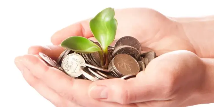 To Harvest Green Business, Feed Eco Incentives to the Decision Makers