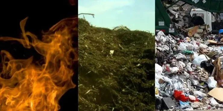 Burn or Bury? Analyzing Waste Management Options in Detail