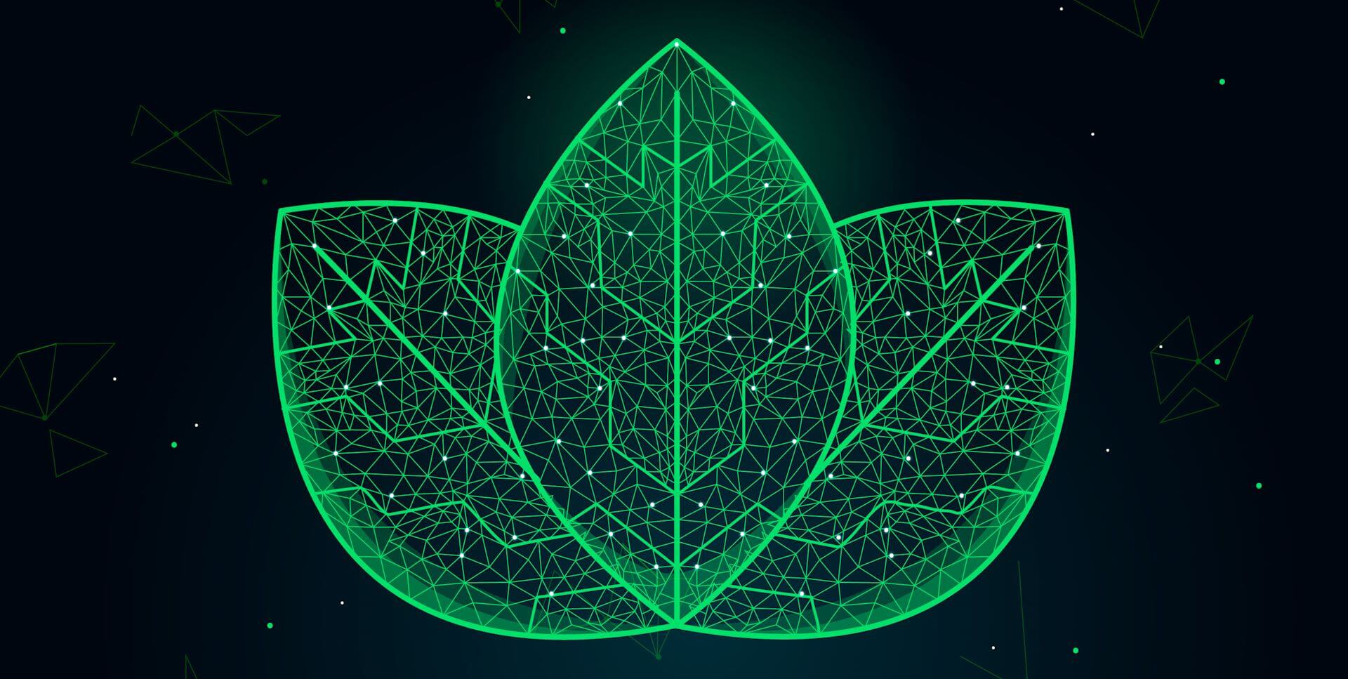 LCA Data for Life Cycle Assessment: Unlocking Environmental Insights