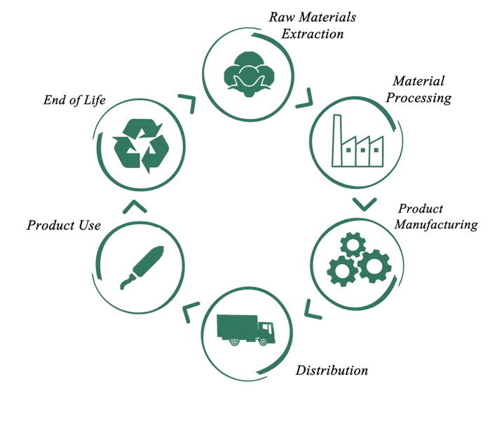 Product Life Cycle Phases of Tampons