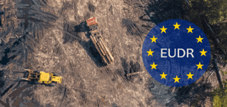 EU Deforestation Regulation (EUDR): Obligations, Risks & Compliance for Producers