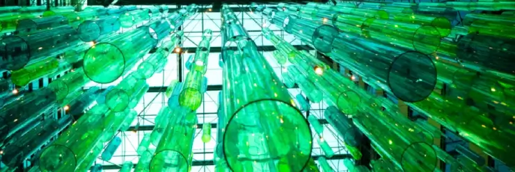 ECHA Updates SVHC Candidate List: 4 New Substances