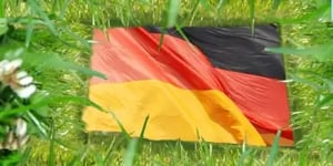 The Path to a Green Economy – Lessons From Germany
