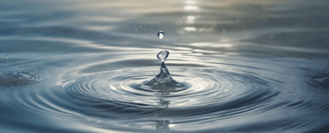 What Is a Water Footprint? Understanding Blue, Green, and Grey Water Impacts in 2026