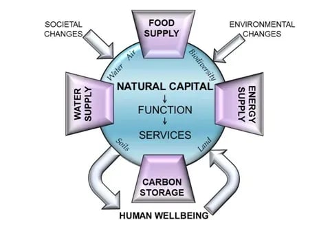 Factors-Natural-Capital-3-1