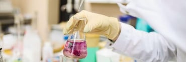 EU REACH-Verordnung: Reporting- und Compliance-Anforderungen im Überblick