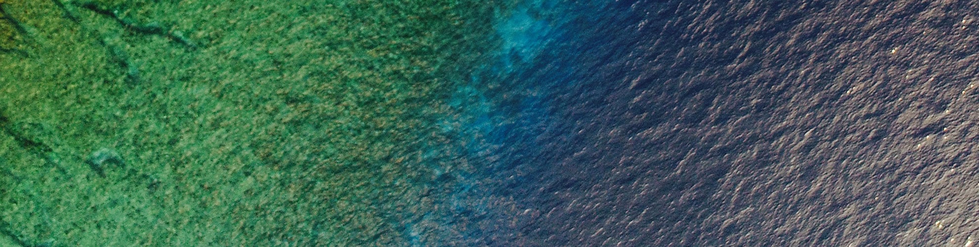 trend-study-2022-1980x500