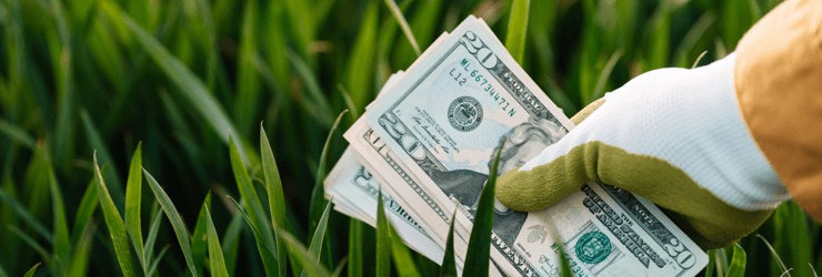 Monetary Valuation of Environmental Impacts: The Path to True Cost Accounting