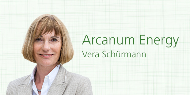 Chancen und Herausforderungen in Energieeffizienz-Netzwerken: Experteninterview