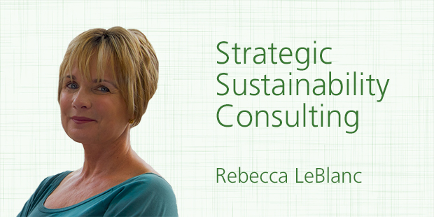 Obtain LCA data from suppliers – Insights from a sustainability consultant