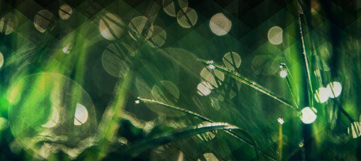 Environmental Monitoring and Modelling: Environmental Management Systems logo