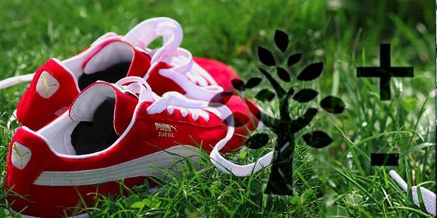 “Just One Indicator, Please”: PUMA’s Environmental Profit and Loss Statement